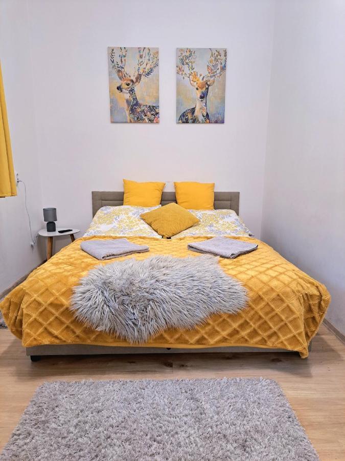 Belvarosi Lux Apartman Vásárosnamény エクステリア 写真