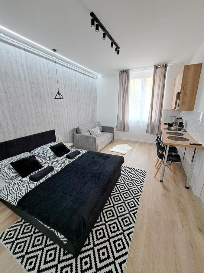 Belvarosi Lux Apartman Vásárosnamény エクステリア 写真